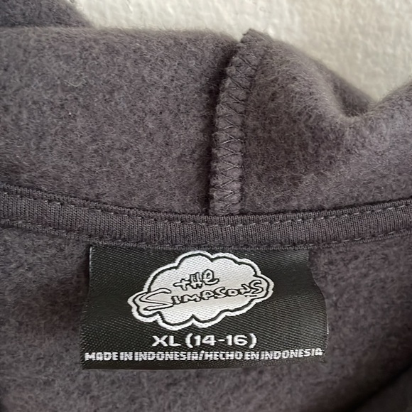 GAP Kid's Gender-Neutral Licensed Pop-Culture Pullover Hoodie Size XL - Picture 2 of 5